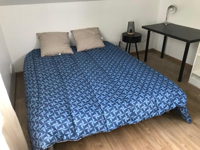 Logement T2-Rue-Maisonnette Sncf-Амбоаз Екстериор снимка